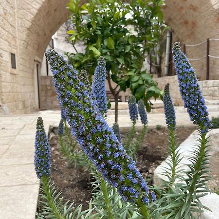 Lamanna House Polignano a Mare Luaran gambar
