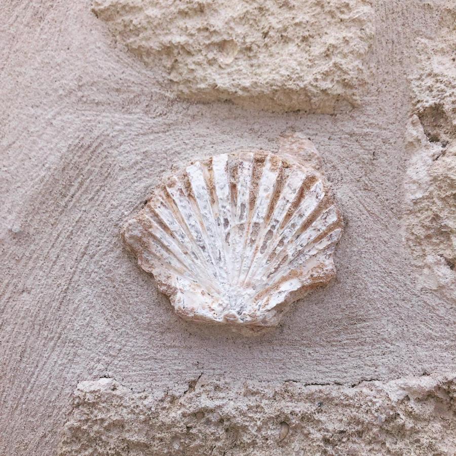 Lamanna House Polignano a Mare Luaran gambar