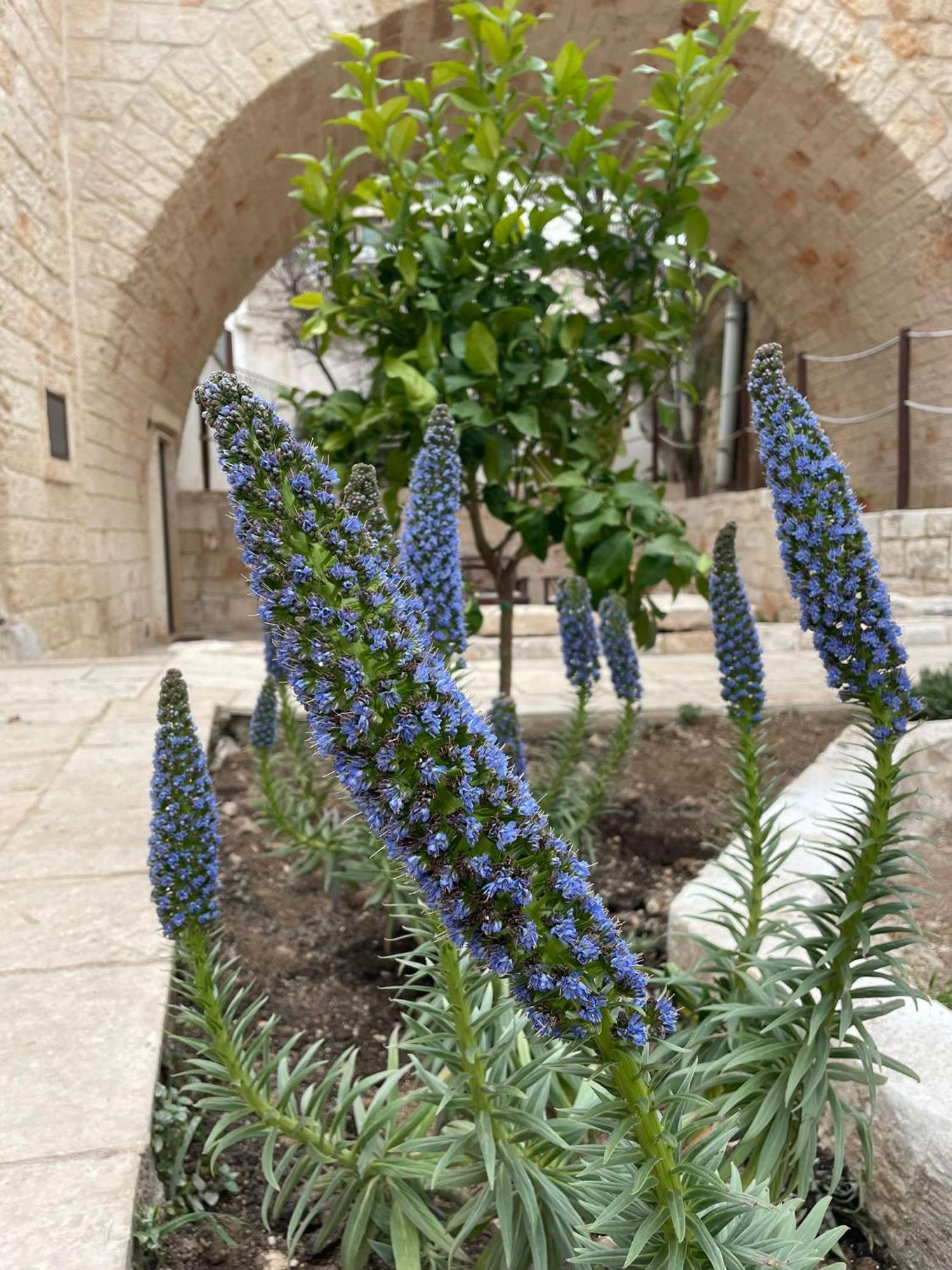 Lamanna House Polignano a Mare Luaran gambar
